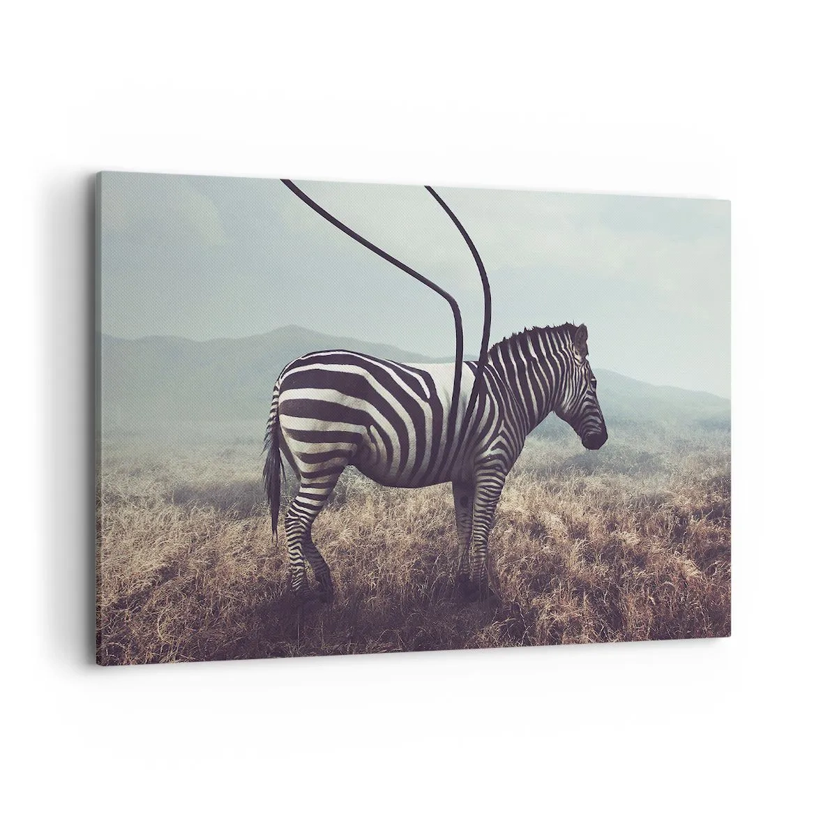 Bild auf Leinwand - Leinwandbild - Ein surreales Zebra vor einer grasbewachsenen Landschaft - 100x70cm - Achtung! Fehler - Moderne Wanddekoration für Wohnzimmer und Schlafzimmer ARTTOR