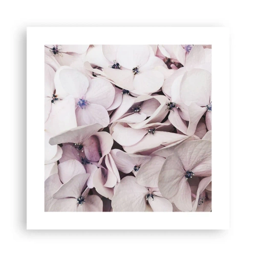 Poster - In einer Blumenflut - 40x40 cm