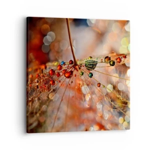 Bild auf Leinwand - Leinwandbild - Auf einem Spinnenfaden aufgefädelt - 30x30 cm