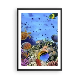 Poster in einem schwarzem Rahmen - Die Unterwasserwelt eines Korallenriffs mit tropischen Fischen - 50x70cm - Und was wissen wir über das Leben ... - Moderne Wanddekoration für Wohnzimmer und Schlafzimmer ARTTOR