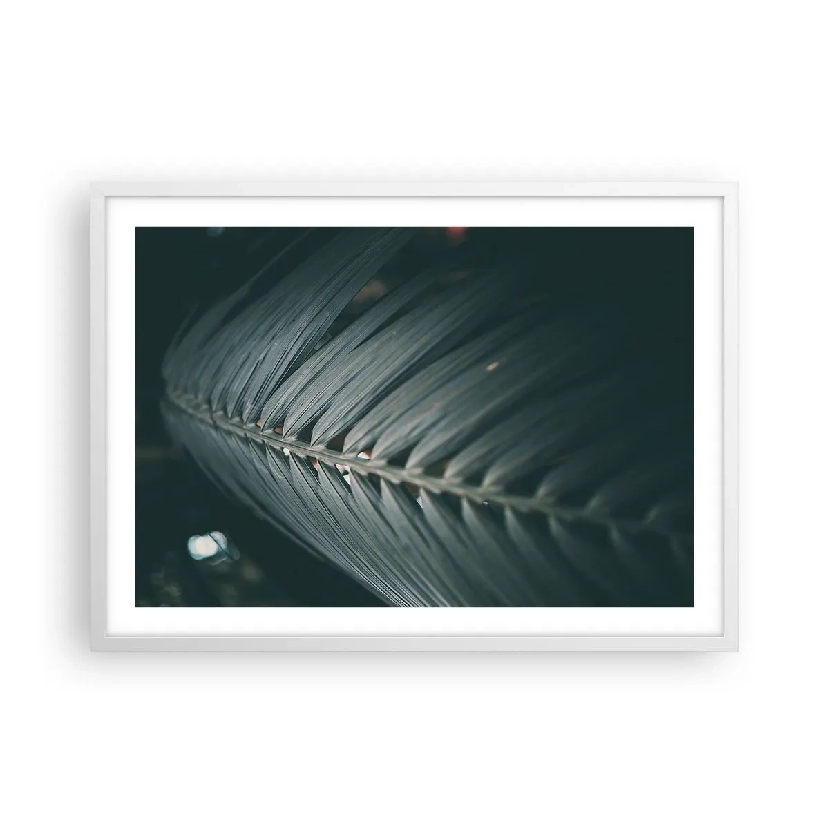 Poster in einem weißen Rahmen - Die Präzision der Natur - 70x50 cm