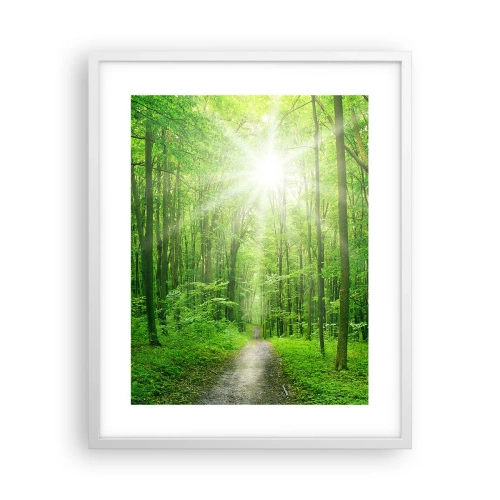 Poster in einem weißen Rahmen - Die grüne Kathedrale - 40x50 cm