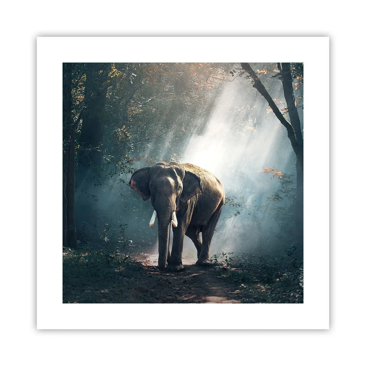 Poster - Ein gemütlicher Spaziergang - 40x40 cm