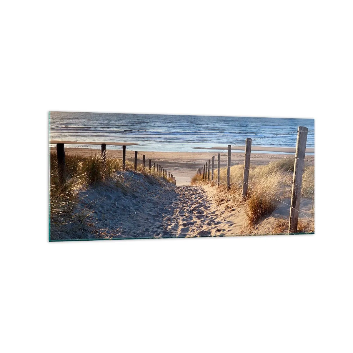 Glasbild - Bild auf glas - Weg durch die Dünen zum Strand - 120x50cm - Das Rauschen des Meeres, der Gesang der Vögel, ein wilder Strand im Gras ... - Moderne Wanddekoration für Wohnzimmer und Schlafzimmer ARTTOR