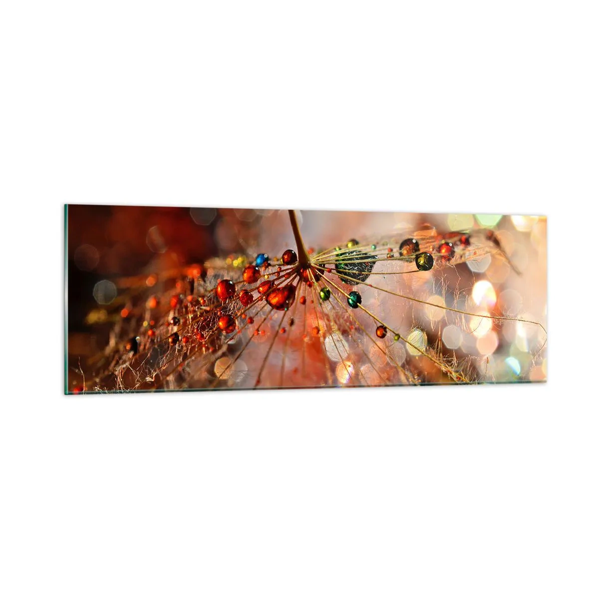 Glasbild - Bild auf glas - Auf einem Spinnenfaden aufgefädelt - 90x30 cm