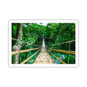 Poster - Monkey Bridge über das Grün - 91x61 cm