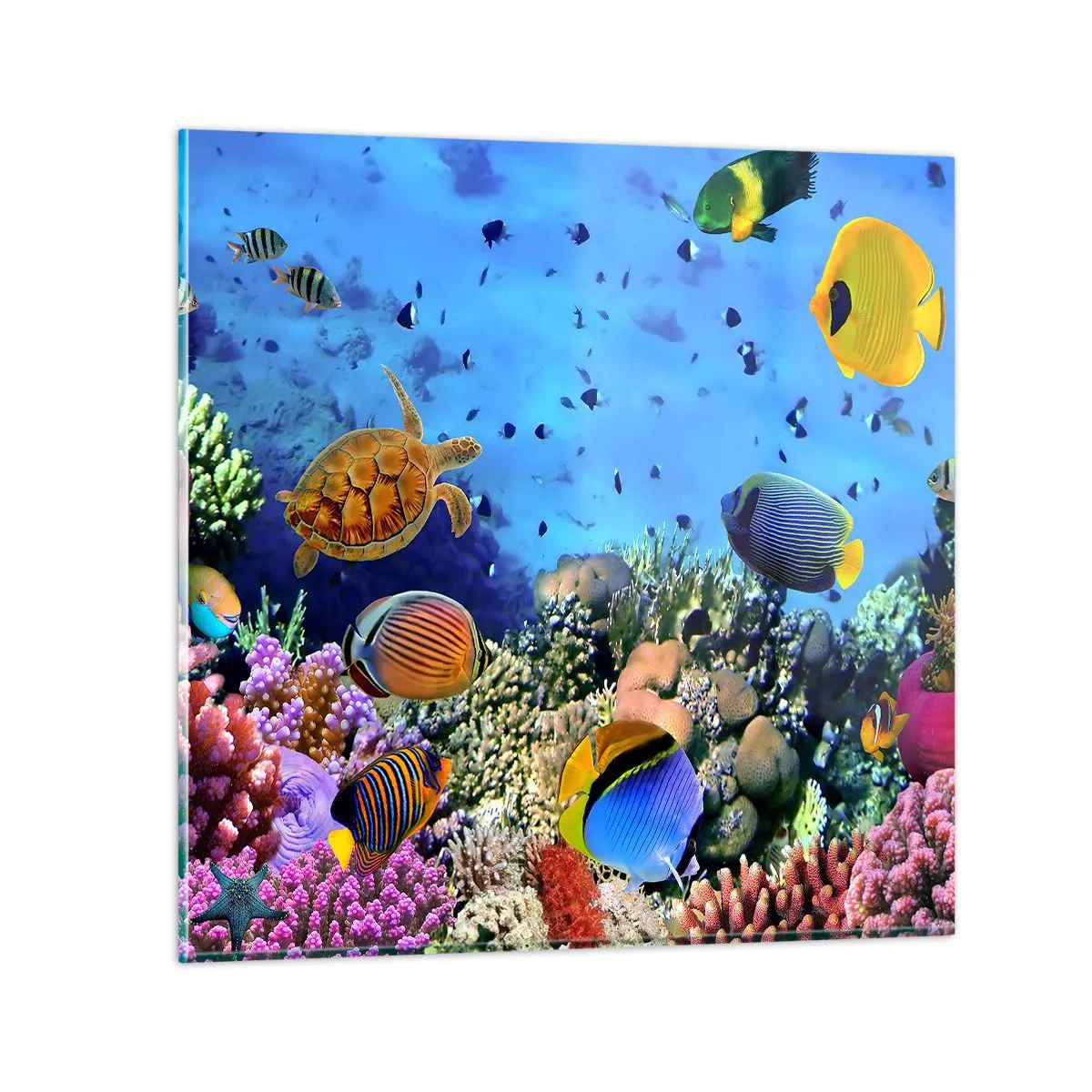 Glasbild - Bild auf glas - Und was wissen wir über das Leben ... - 50x50 cm