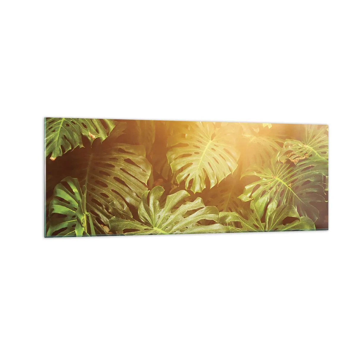 Glasbild - Bild auf glas - Monstera-Blätter im Sonnenlicht vor einem natürlichen Hintergrund - 140x50cm - Ins Grüne tretren... - Moderne Wanddekoration für Wohnzimmer und Schlafzimmer ARTTOR