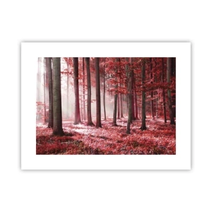 Poster - Rot ist genauso schön - 40x30 cm