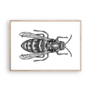 Poster in einem Rahmen aus heller Eiche - Von einem Insektenplaneten - 100x70 cm