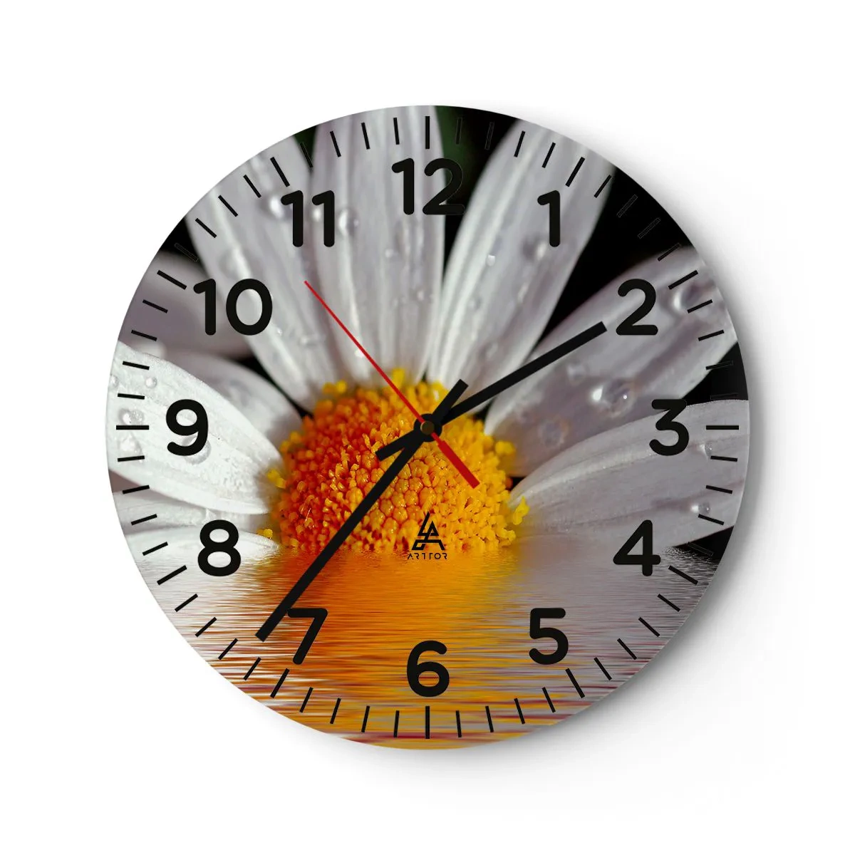 Wanduhr - Glasuhr - Die aufgehende Sonne der Gänseblümchen - 30x30 cm