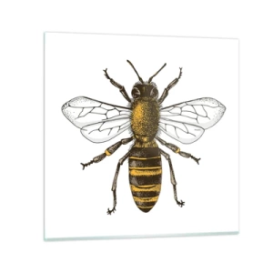 Glasbild - Bild auf glas - Schön und gut - 30x30 cm