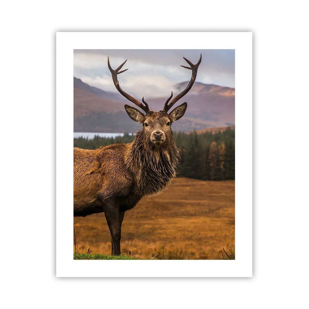 Poster - Die Majestät der Natur - 40x50 cm