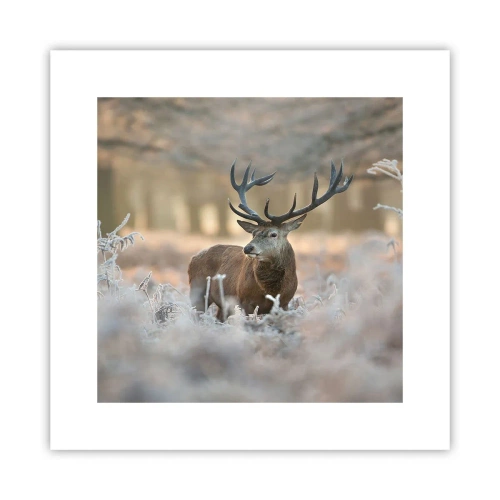 Poster - Ein flotter Morgen - 30x30 cm