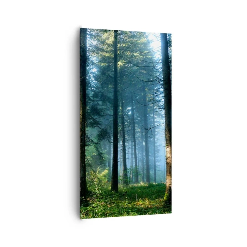 Bild auf Leinwand - Leinwandbild - Strahlend am Morgen - 65x120 cm