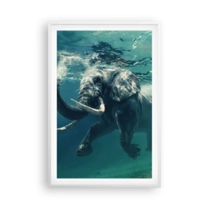 Poster in einem weißen Rahmen - Jeder schwimmt gerne - 61x91 cm