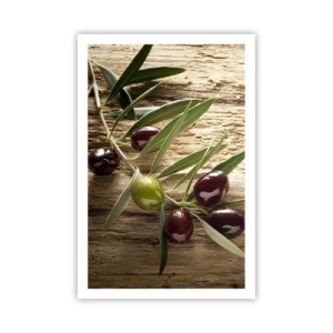 Poster - Direkt aus der Natur - 61x91 cm