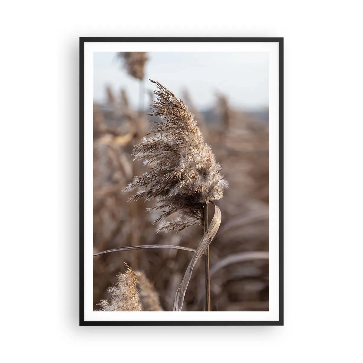 Poster in einem schwarzem Rahmen - Zeit, mit dem Wind zu gehen - 70x100 cm