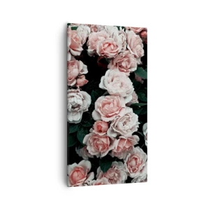 Bild auf Leinwand - Leinwandbild - Rosen-Ensemble - 55x100 cm