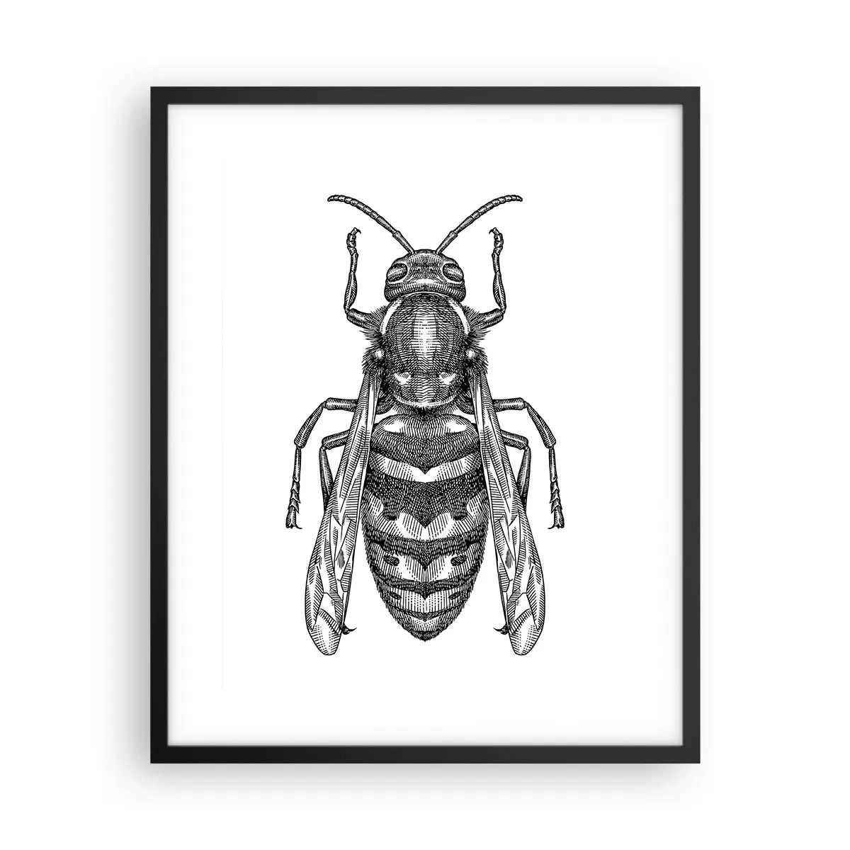 Poster in einem schwarzem Rahmen - Von einem Insektenplaneten - 40x50 cm