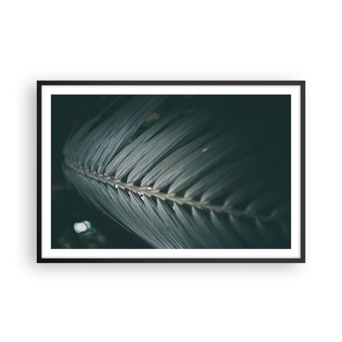 Poster in einem schwarzem Rahmen - Die Präzision der Natur - 91x61 cm