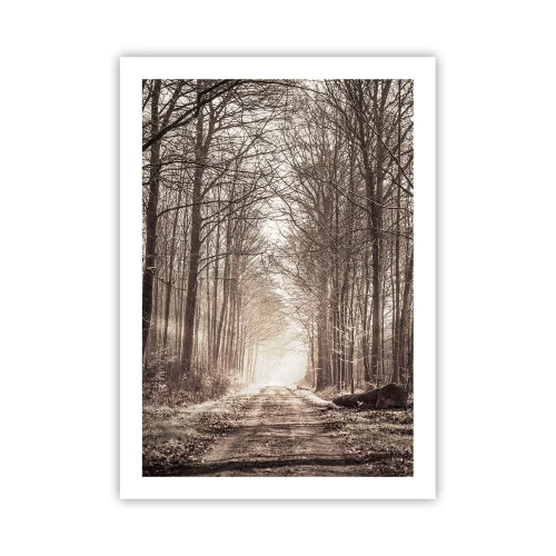 Poster - Ein Waldweg in herbstlichen Sepiatönen - 50x70cm - Waldkathedrale - Moderne Wanddekoration für Wohnzimmer und Schlafzimmer ARTTOR