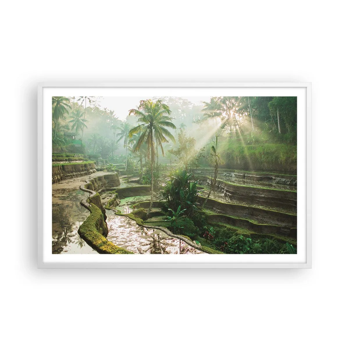 Poster in einem weißen Rahmen - In der Sonne aufwachsen - 91x61 cm