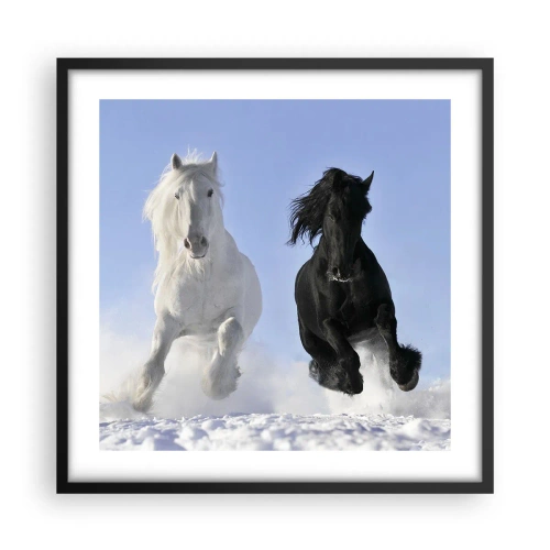 Poster in einem schwarzem Rahmen - Schwarz-Weiß-Galopp - 50x50 cm