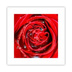 Poster - In den Tautropfen - 30x30 cm