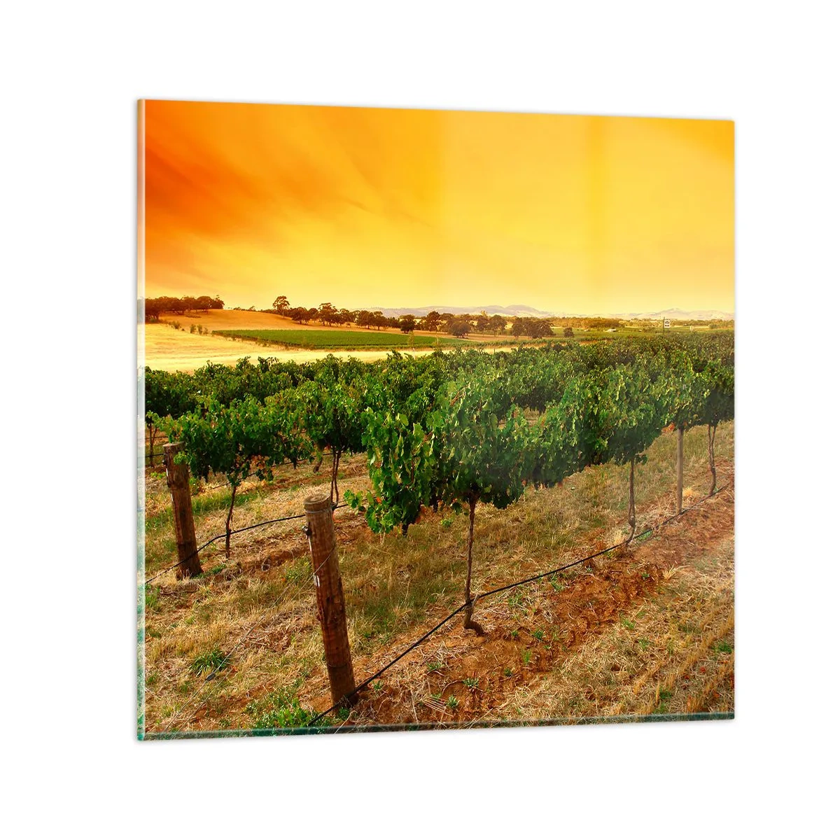 Glasbild - Bild auf glas - Holen Sie sich einen Drink von der Sonne - 70x70 cm