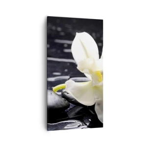 Bild auf Leinwand - Leinwandbild - Eine Studie in Schwarzweiß - 55x100 cm