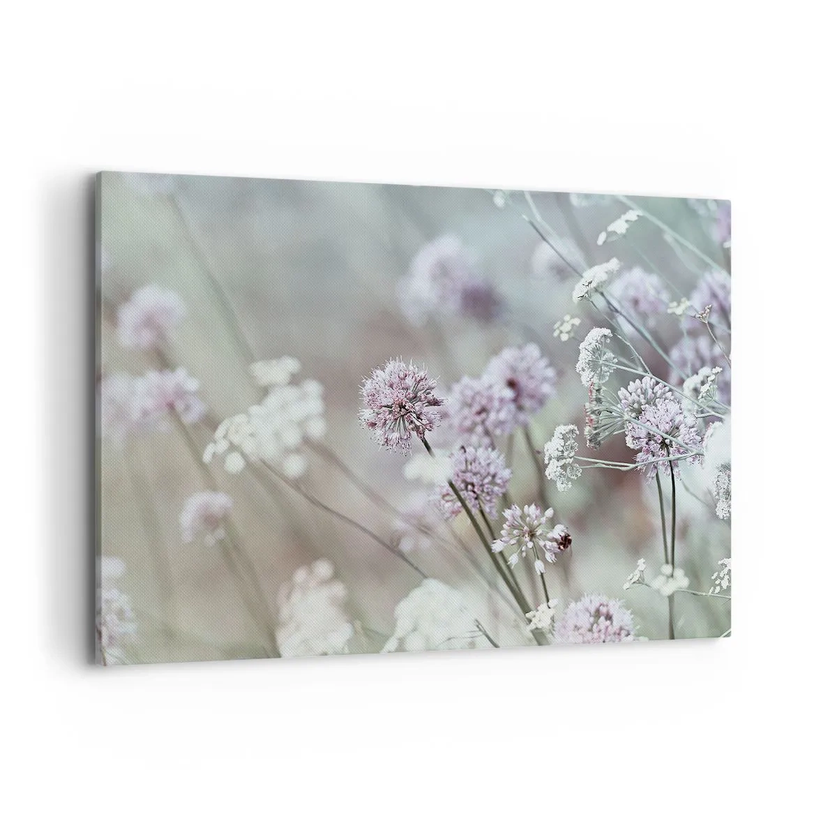 Bild auf Leinwand - Leinwandbild - Zarte Blüten in Pastelltönen - 100x70cm - Süße filigrane Kräuter - Moderne Wanddekoration für Wohnzimmer und Schlafzimmer ARTTOR