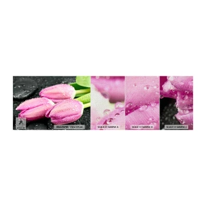 Fototapeten Muster Premium Canvas - Liladrei auf schwarzem Stein - Blumen, Tulpen, Blumenstrauß - 100x30 cm