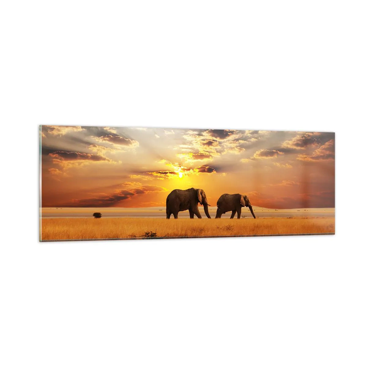 Glasbild - Bild auf glas - Familienspaziergang - 90x30 cm