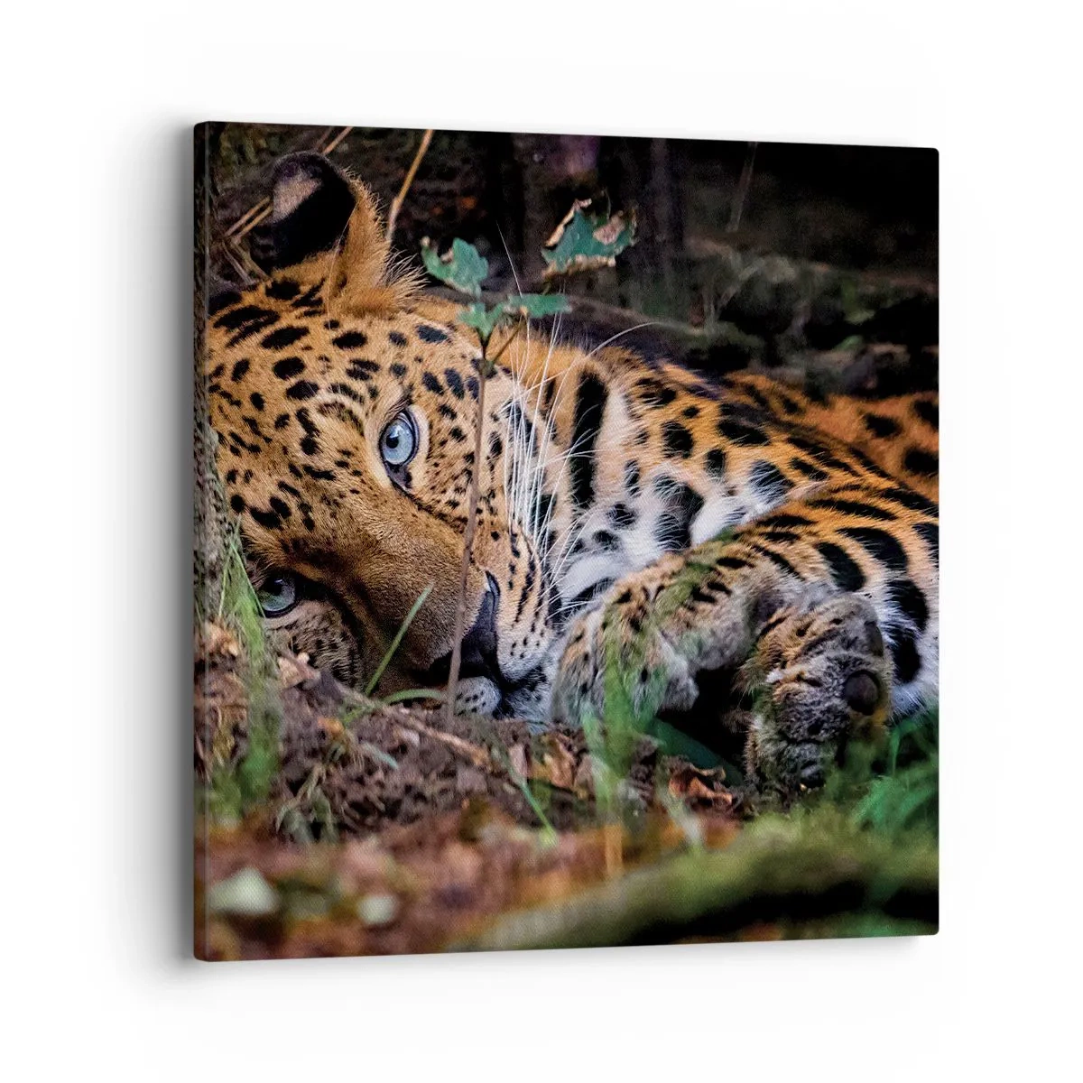 Bild auf Leinwand - Leinwandbild - Vertrau mir - 40x40 cm