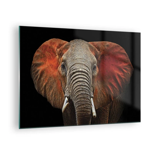Glasbild - Bild auf glas - Porträt eines majestätischen Elefanten vor schwarzem Hintergrund - 70x50cm - Ich bin wild und du? - Moderne Wanddekoration für Wohnzimmer und Schlafzimmer ARTTOR
