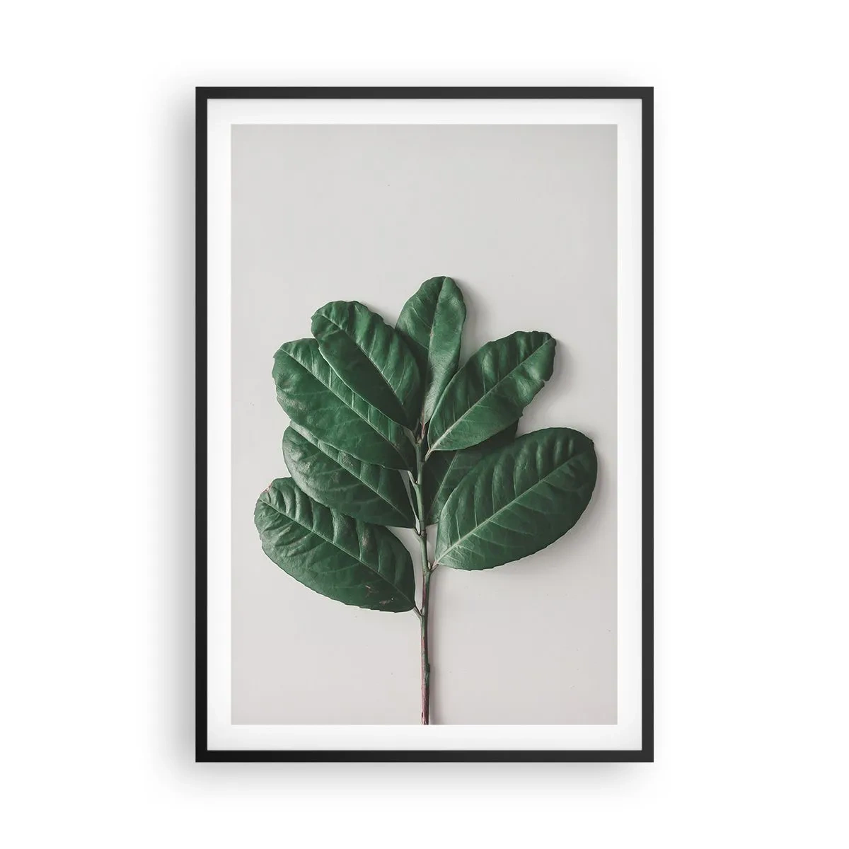 Poster in einem schwarzem Rahmen - Eine Zeichnung purer Natur - 61x91 cm