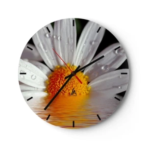 Wanduhr - Glasuhr - Makro eines Gänseblümchens mit Wassertropfen auf den Blütenblättern - 30x30cm - Die aufgehende Sonne der Gänseblümchen - Moderne Wanddekoration für Wohnzimmer, Küche und Schlafzimmer ARTTOR