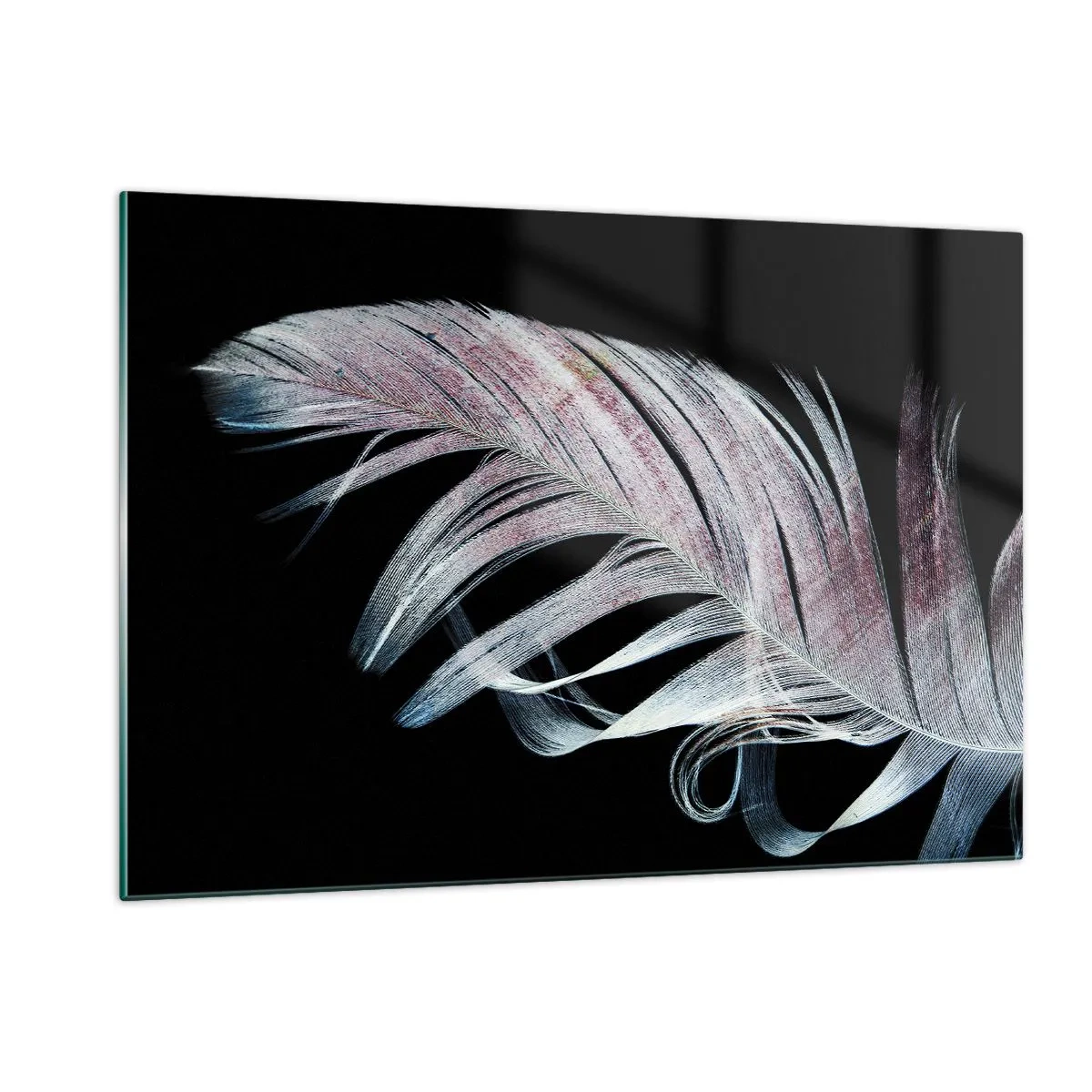 Glasbild - Bild auf glas - Eine zarte Feder auf schwarzem Hintergrund in einem künstlerischen Ansatz - 120x80cm - Denke an Berührung - Moderne Wanddekoration für Wohnzimmer und Schlafzimmer ARTTOR