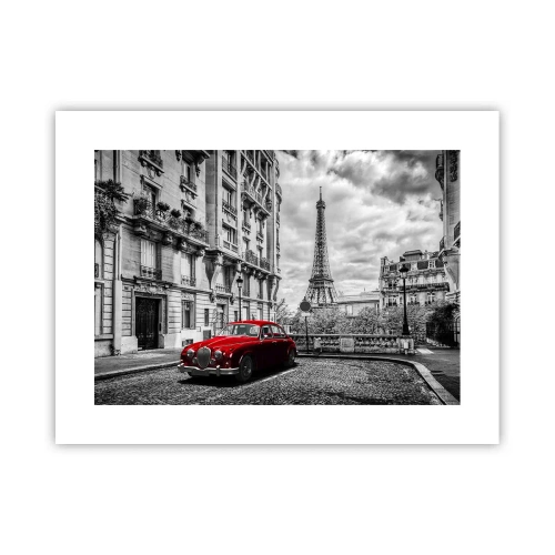 Poster - Raubtier in der Stadt - 40x30 cm