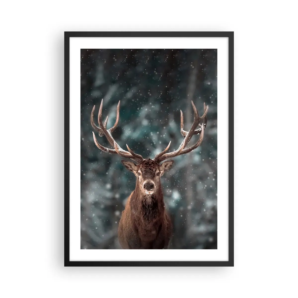 Poster in einem schwarzem Rahmen - Porträt eines Hirsches mit beeindruckendem Geweih vor der Kulisse eines Winterwaldes - 50x70cm - Gekrönter König des Waldes - Moderne Wanddekoration für Wohnzimmer und Schlafzimmer ARTTOR