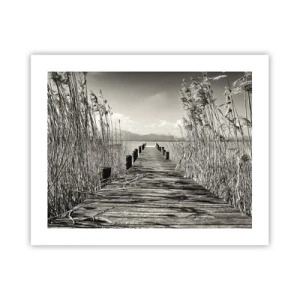 Poster - In der Stille des Grases - 50x40 cm