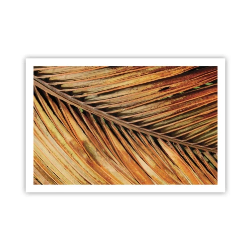 Poster - Kokosnuss-Gold - 91x61 cm