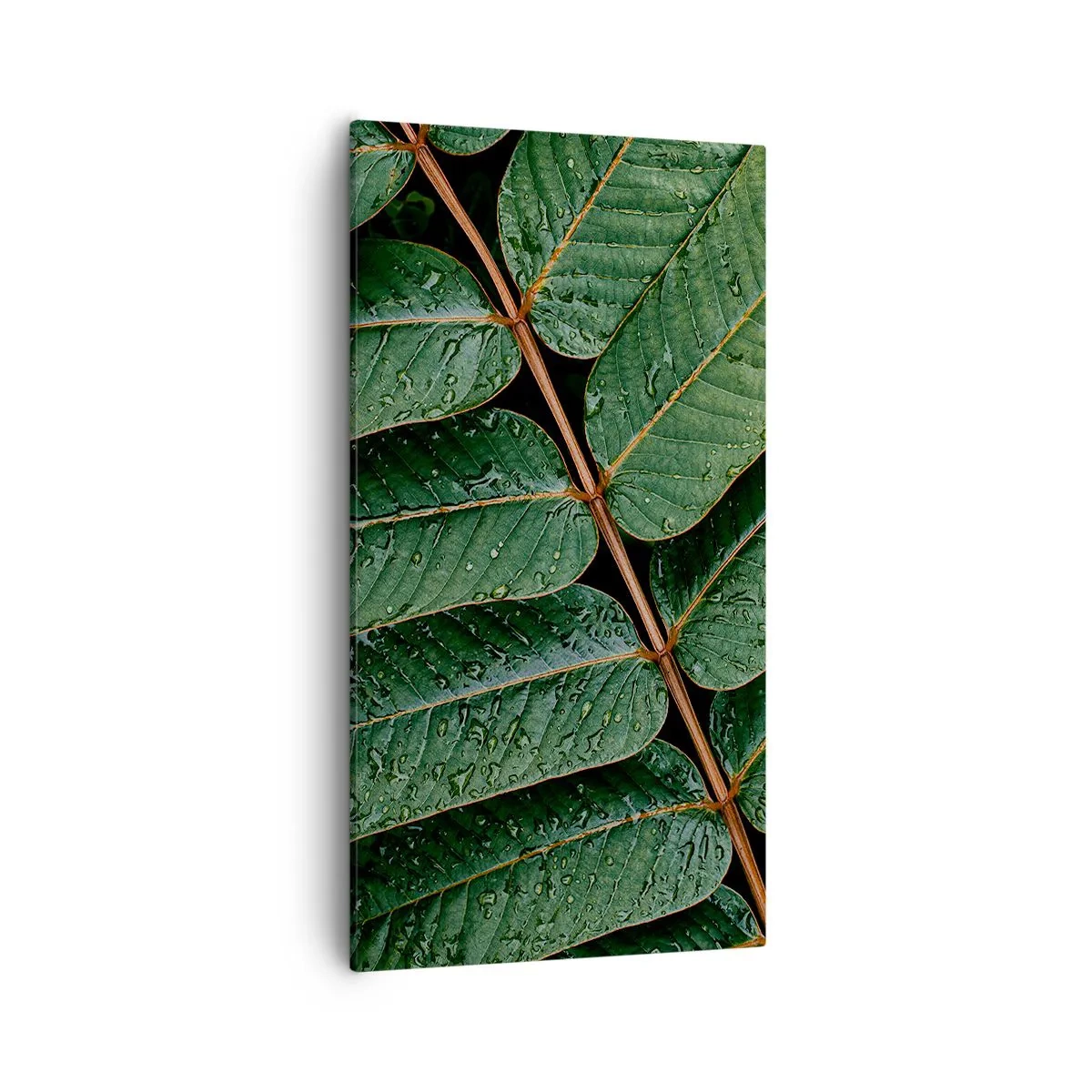 Bild auf Leinwand - Leinwandbild - Im grünen Rhythmus - 55x100 cm