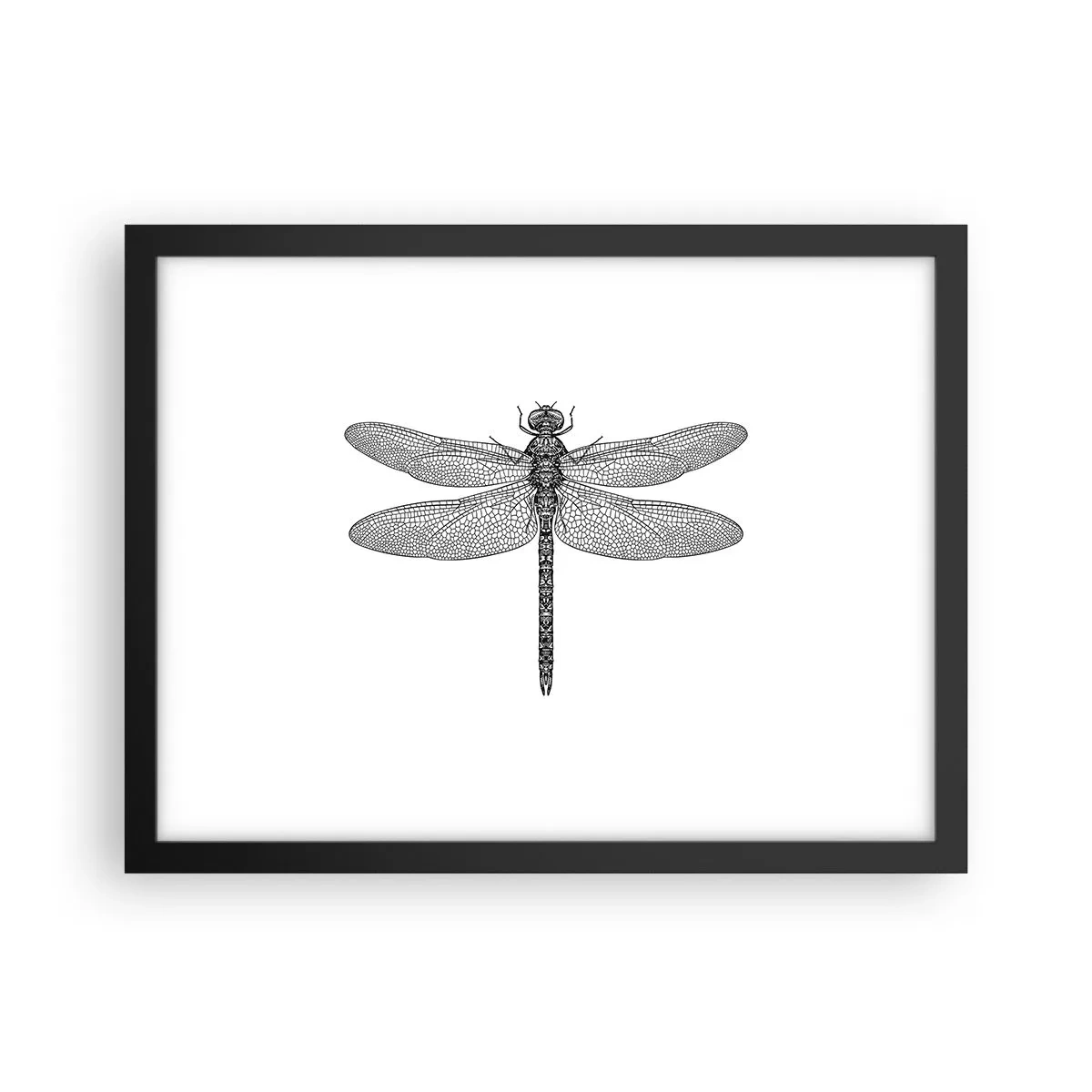 Poster in einem schwarzem Rahmen - Präzision der Natur - 40x30 cm