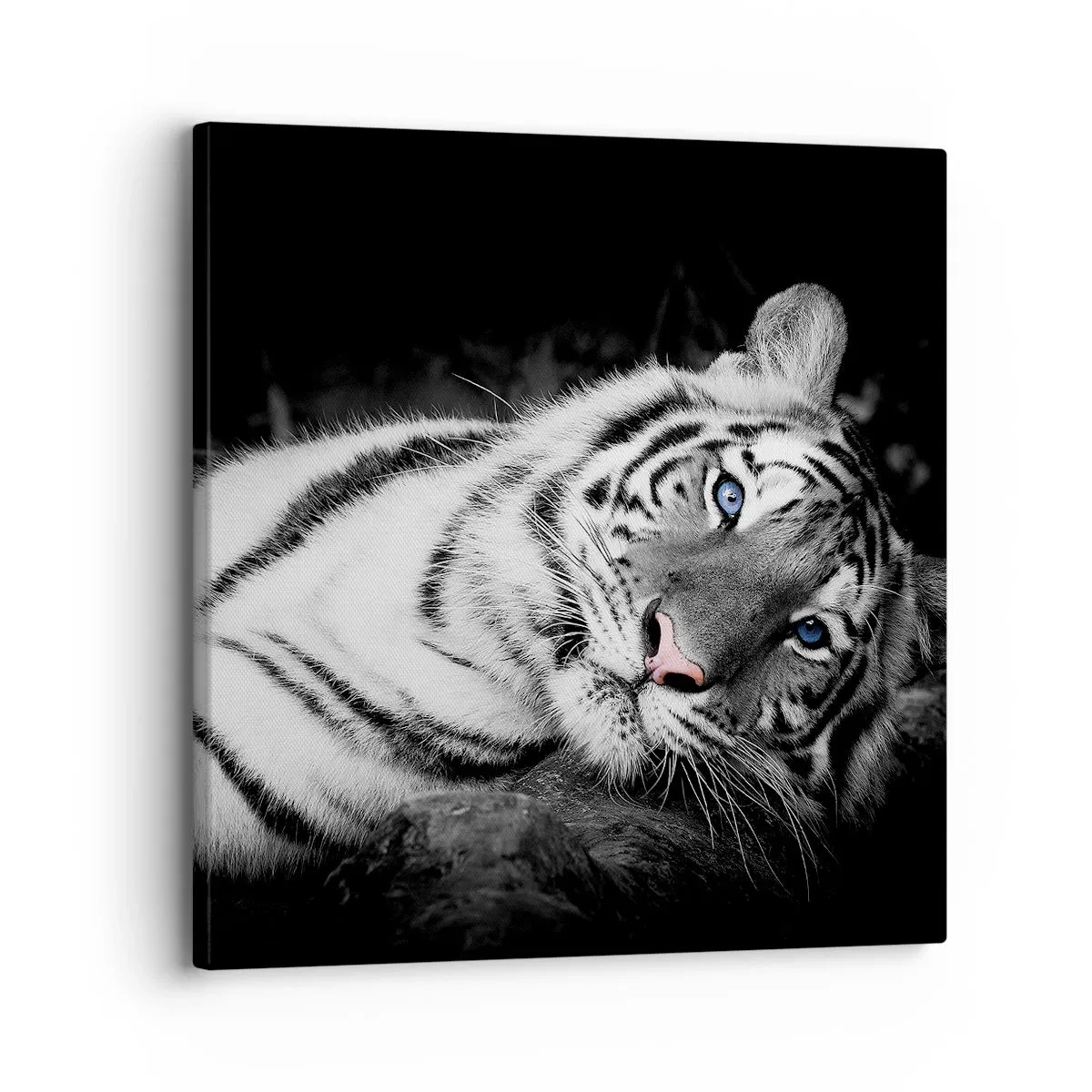 Bild auf Leinwand - Leinwandbild - Wildnis und Frieden - 30x30 cm