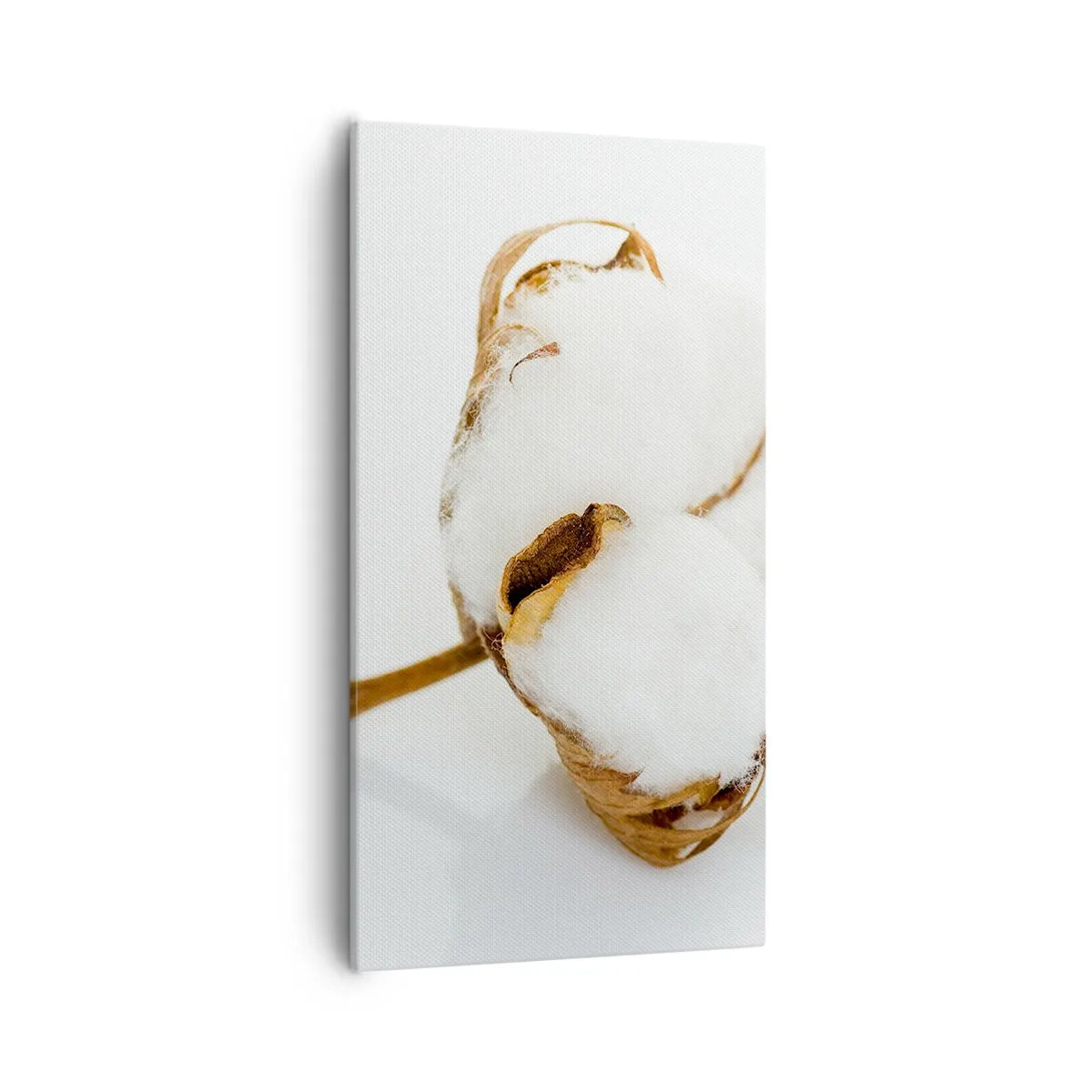 Bild auf Leinwand - Leinwandbild - Von Natur aus weich - 55x100 cm