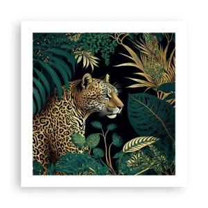 Poster - Gastgeber im Dschungel - 50x50 cm