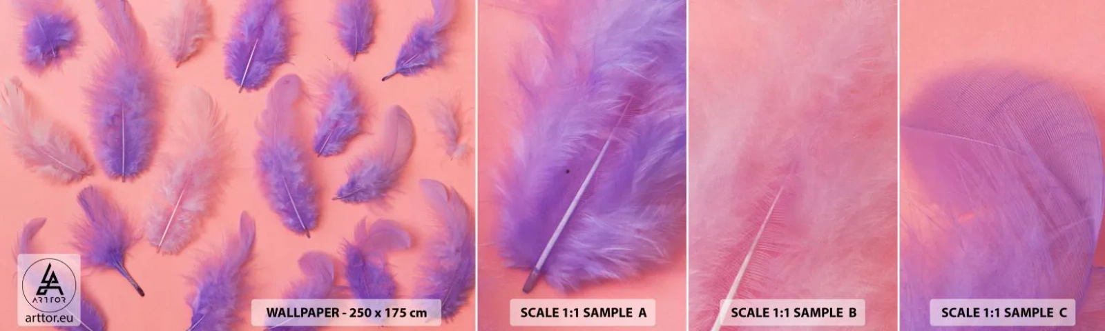 Fototapetenmuster Standard Eco - Lila Vogel der Begierde - Vogelfeder, Inspiration, Grafik - 100x30 cm