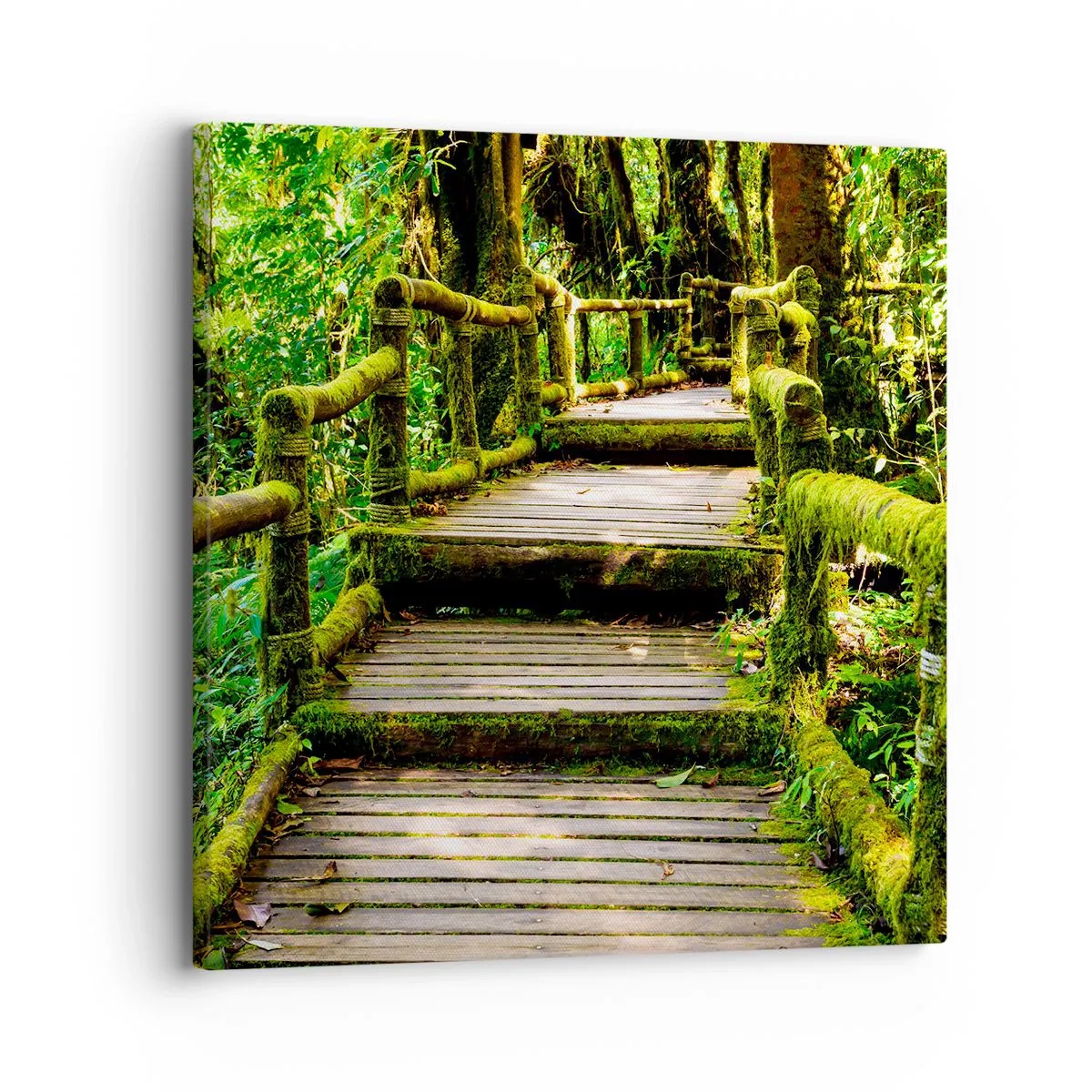 Bild auf Leinwand - Leinwandbild - Ein Korridor voller Grün - 30x30 cm